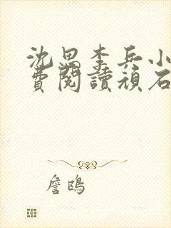 沈思李兵小说免费阅读顽石网