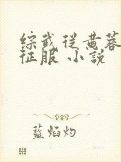 综武从黄蓉开始征服 小说