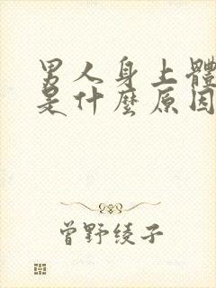 男人身上体味重是什么原因