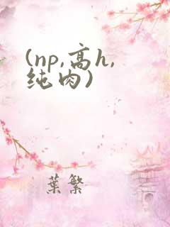 (np,高h,纯肉)