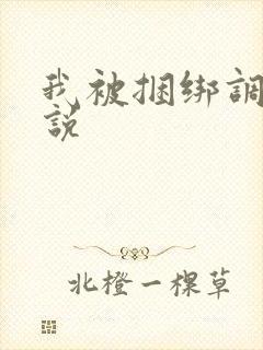 我被捆绑调教小说