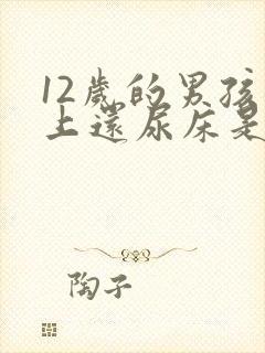 12岁的男孩晚上还尿床是什么原因