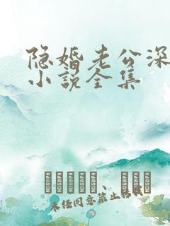隐婚老公深夜来小说全集