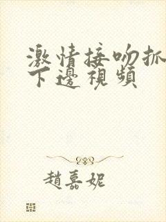 激情接吻抓胸摸下边视频