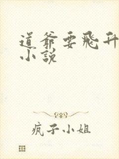 道爷要飞升顶点小说