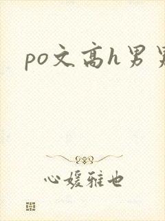 po文高h男男