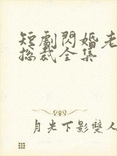 短剧闪婚老公是总裁全集