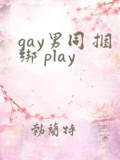 gay男同 捆绑 play