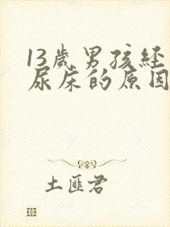 13岁男孩经常尿床的原因和治疗