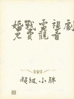 婚战电视剧全集免费观看