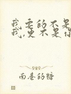 我要的不是你爱我,更不是你恨我是什么歌