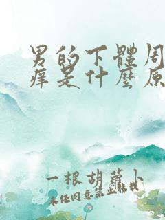 男的下体周围瘙痒是什么原因