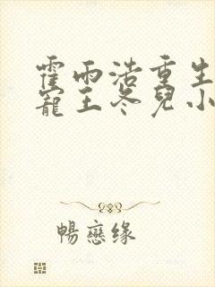 霍雨浩重生之独宠王冬儿小说免费