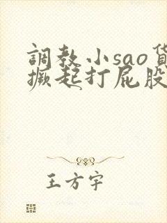 调教小sao货撅起打屁股视频