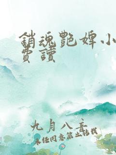 销魂艳婢小说免费读