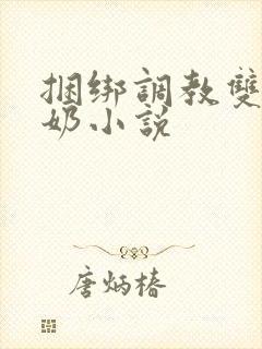 捆绑调教双性大奶小说