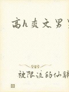 高h爽文男男