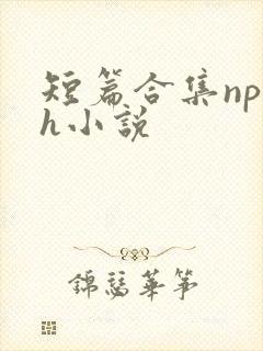 短篇合集np高h小说
