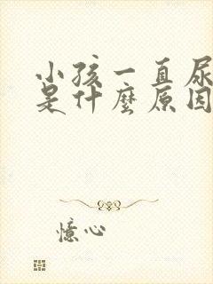 小孩一直尿裤子是什么原因