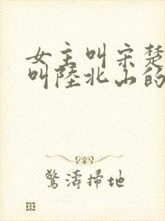 女主叫宋楚男主叫陆北山的小说