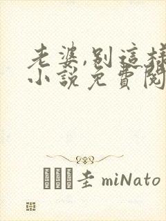 老婆,别这样 小说免费阅读