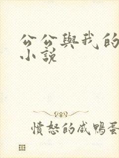 公公与我的性事小说