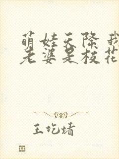 萌娃天降 我的老婆是校花