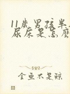 11岁男孩半夜尿床是怎么回事