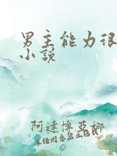 男主能力很强的小说