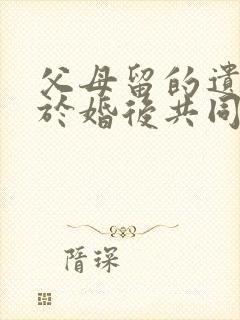 父母留的遗产属于婚后共同财产吗