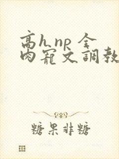 高h np 全肉宠文调教道具