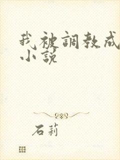 我被调教成母狗小说