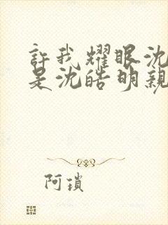 许我耀眼沈皓辰是沈皓明亲生的吗