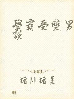 学霸受双男主小说