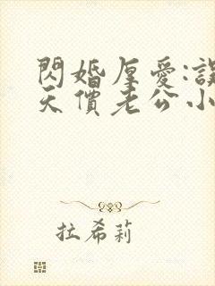 闪婚厚爱:误嫁天价老公小说