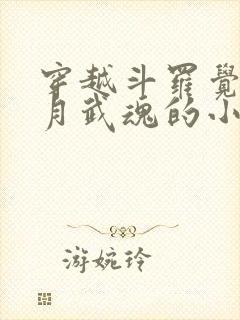 穿越斗罗觉醒日月武魂的小说