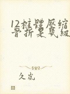 12椎体压缩性骨折是几级伤残