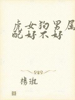 虎女狗男属相婚配好不好