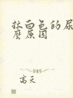 拉白色的尿是什么原因