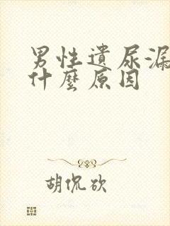 男性遗尿漏尿是什么原因