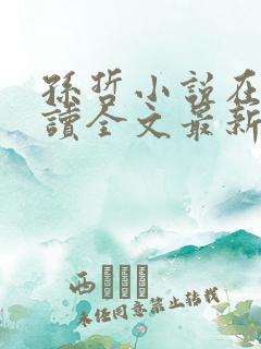 孙哲小说在线阅读全文最新