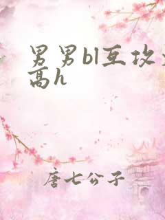 男男bl互攻文高h