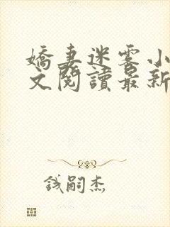 娇妻迷雾小说全文阅读最新章节
