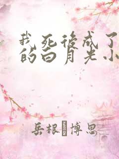 我死后成了反派的白月光小说