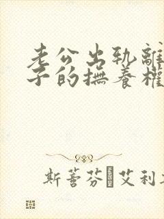 老公出轨离婚孩子的抚养权归谁