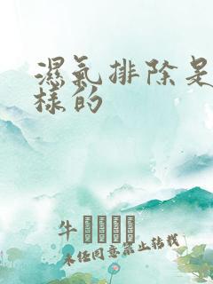 湿气排除是什么样的