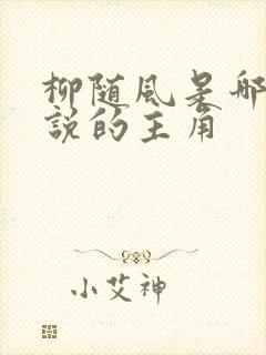 柳随风是哪部小说的主角