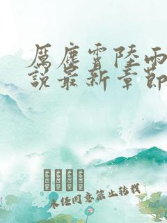 厉尘霄陆雨棠小说最新章节免费阅读全文