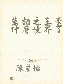 万相之王李洛到什么境界了