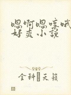嗯啊嗯哼哦好大好爽小说
